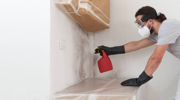Professional Commercial Mold Remediation technician working in Franklin, NJ