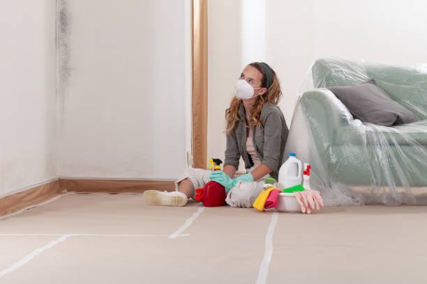 Reliable Commercial Mold Remediation contractor in Franklin, NJ by WQB Mold Removal